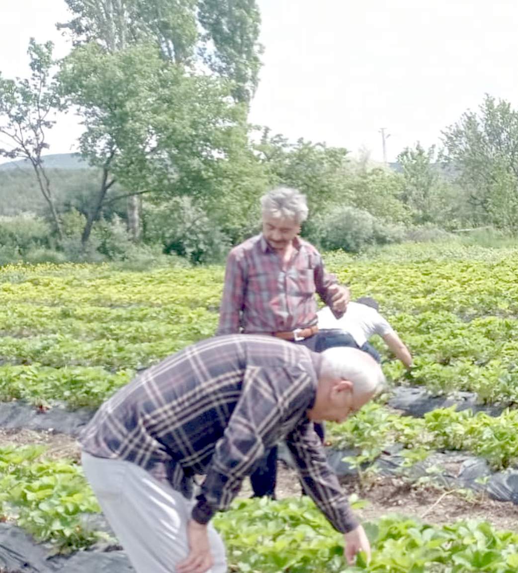 Kırıkkale Haber, Son Dakika Kırıkkale Haberleri