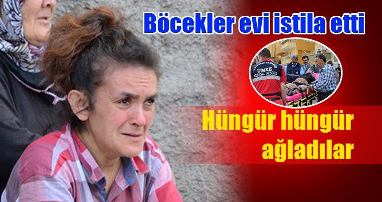 Belediye evi temizledi - Kırıkkale Haber, Son Dakika Kırıkkale Haberleri