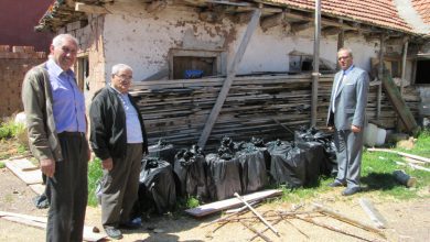 Mantar üretimi yüz güldürecek - Kırıkkale Haber, Son Dakika Kırıkkale Haberleri