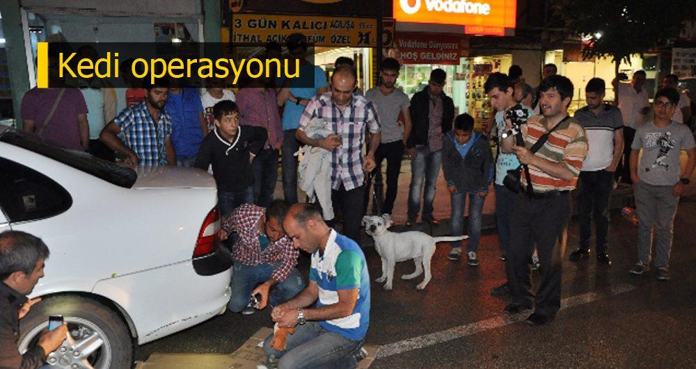 Dönerle kedi kurtarma operasyonu - Kırıkkale Haber, Son Dakika Kırıkkale Haberleri