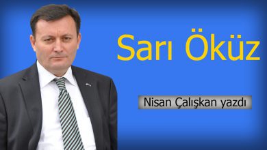 Sarı Öküz (1) - Kırıkkale Haber, Son Dakika Kırıkkale Haberleri