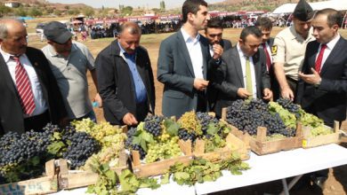 Ayvatlı’da şenlik rüzgarı - Kırıkkale Haber, Son Dakika Kırıkkale Haberleri