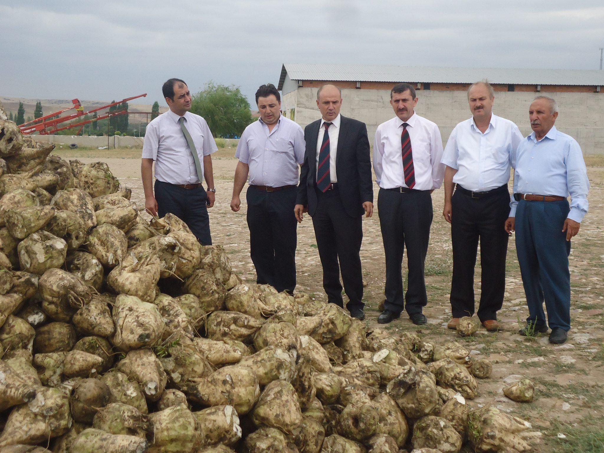 Şeker pancarı alımları başladı - Kırıkkale Haber, Son Dakika Kırıkkale Haberleri