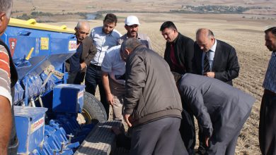 Anıza Yem Bitkisi Ekildi - Kırıkkale Haber, Son Dakika Kırıkkale Haberleri