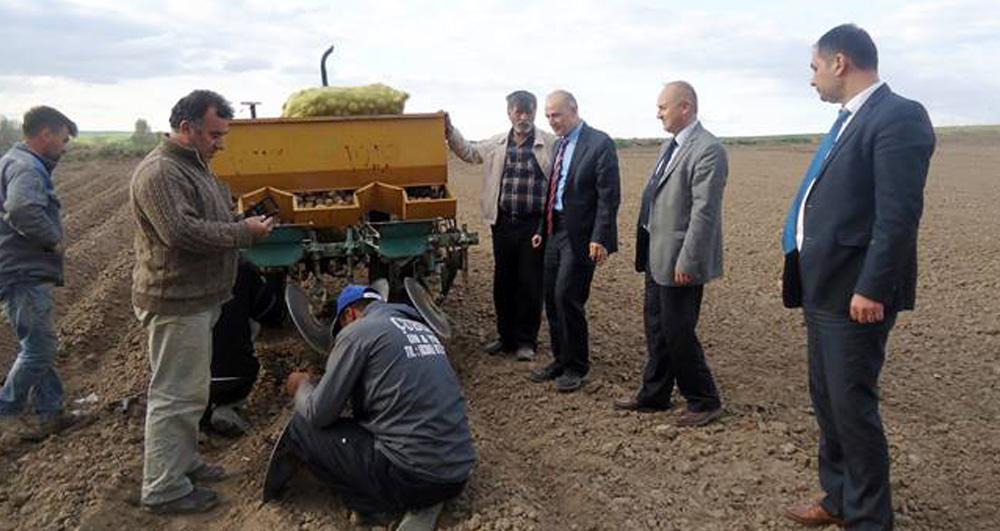 Delice ve Balışeyh’te patates ekildi - Kırıkkale Haber, Son Dakika Kırıkkale Haberleri