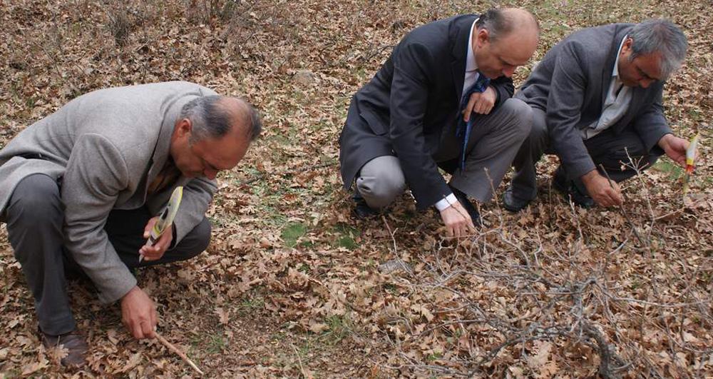 SÜNE MÜCADELESİNE 6 EKİPLE BAŞLANDI - Kırıkkale Haber, Son Dakika Kırıkkale Haberleri