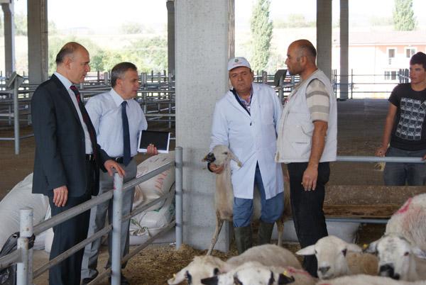 Kurbanlık alırken dikkat edilecek hususlar - Kırıkkale Haber, Son Dakika Kırıkkale Haberleri