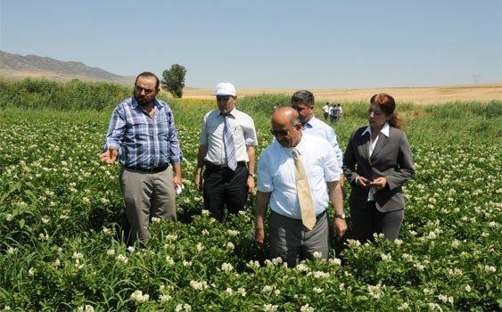 Çiftçinin yüzü güldü - Kırıkkale Haber, Son Dakika Kırıkkale Haberleri