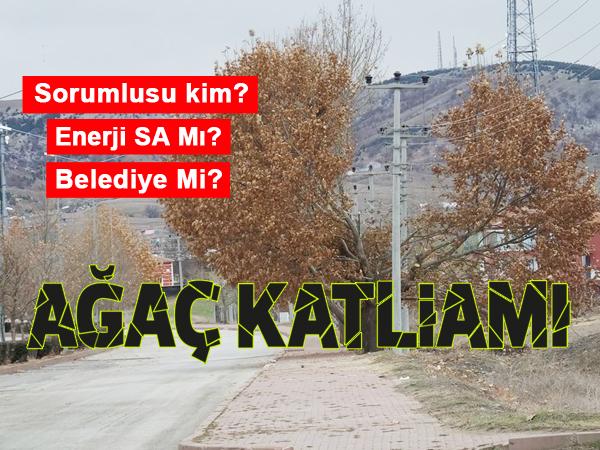 Ağaç Katliamı - Kırıkkale Haber, Son Dakika Kırıkkale Haberleri