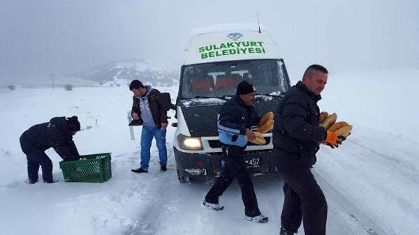 Sulakyurt’ta yaban hayvanlar unutulmadı - Kırıkkale Haber, Son Dakika Kırıkkale Haberleri