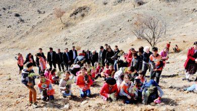 Fidanlar toprakla buluştu - Kırıkkale Haber, Son Dakika Kırıkkale Haberleri