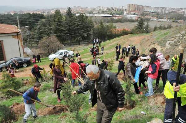 Bahar için ağaç diktiler - Kırıkkale Haber, Son Dakika Kırıkkale Haberleri