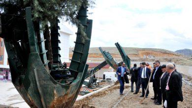 Bahşılı'da ağaç seyreltme çalışmaları - Kırıkkale Haber, Son Dakika Kırıkkale Haberleri