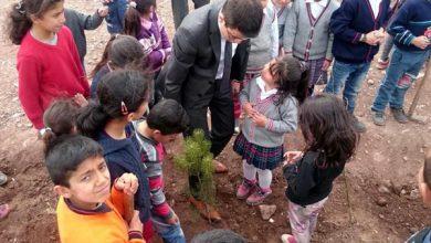 Orman Haftası etkinliği - Kırıkkale Haber, Son Dakika Kırıkkale Haberleri