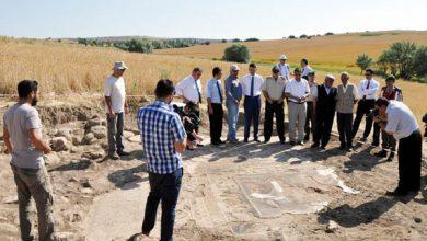 Buğday tarlasında Roma mozaiği - Kırıkkale Haber, Son Dakika Kırıkkale Haberleri