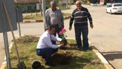 Sulakyurt Gül Bahçesine Dönüşüyor - Kırıkkale Haber, Son Dakika Kırıkkale Haberleri