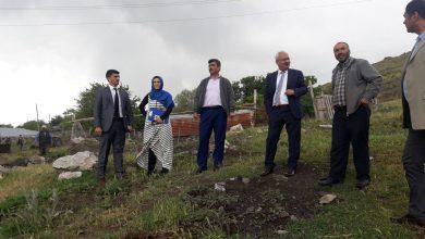 65 hayvan telef oldu - Kırıkkale Haber, Son Dakika Kırıkkale Haberleri