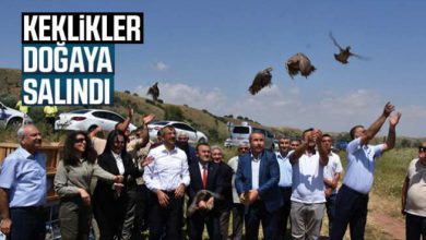 Keklikler Doğaya Salındı - Kırıkkale Haber, Son Dakika Kırıkkale Haberleri