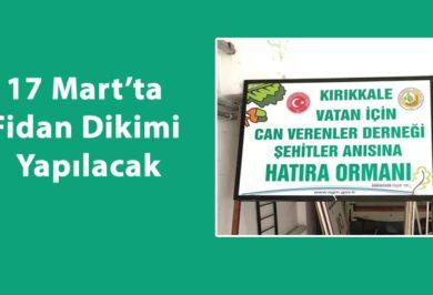 Şehitler anısına hatıra ormanı oluşturuluyor - Kırıkkale Haber, Son Dakika Kırıkkale Haberleri