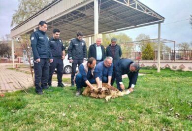 - Kırıkkale Haber, Son Dakika Kırıkkale Haberleri