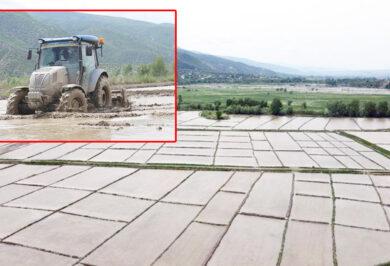 Sulakyurt’ta Çeltik Mesaisi Başladı