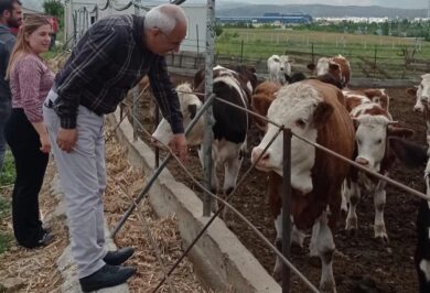 Kırıkkale Haber, Son Dakika Kırıkkale Haberleri