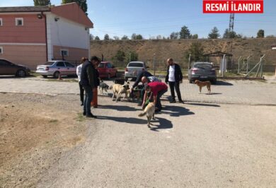 Kırıkkale Haber, Son Dakika Kırıkkale Haberleri