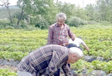 Kırıkkale Haber, Son Dakika Kırıkkale Haberleri