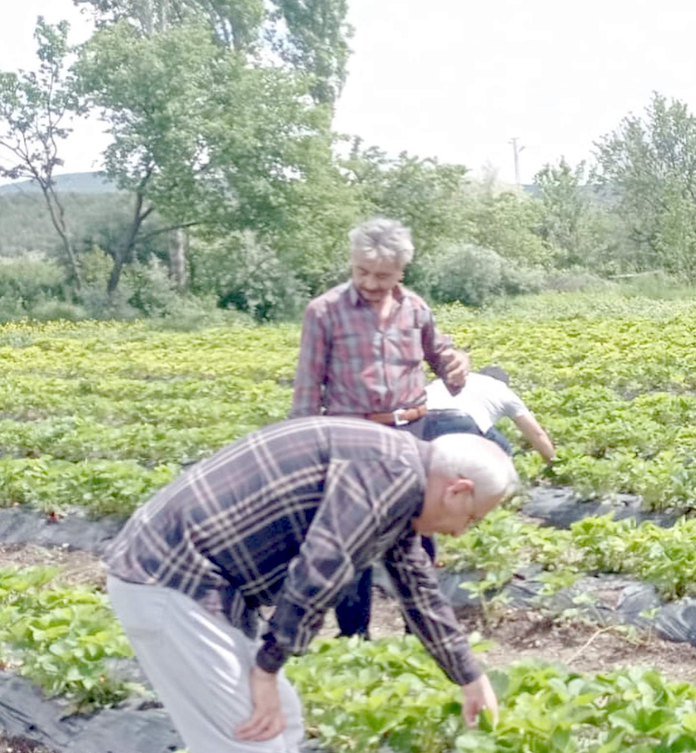 Kırıkkale Haber, Son Dakika Kırıkkale Haberleri