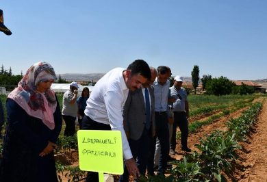 Kırıkkale Haber, Son Dakika Kırıkkale Haberleri