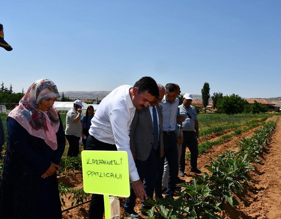 Kırıkkale Haber, Son Dakika Kırıkkale Haberleri