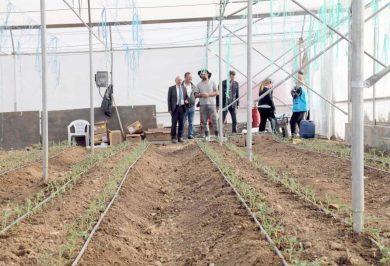 Kırıkkale Haber, Son Dakika Kırıkkale Haberleri