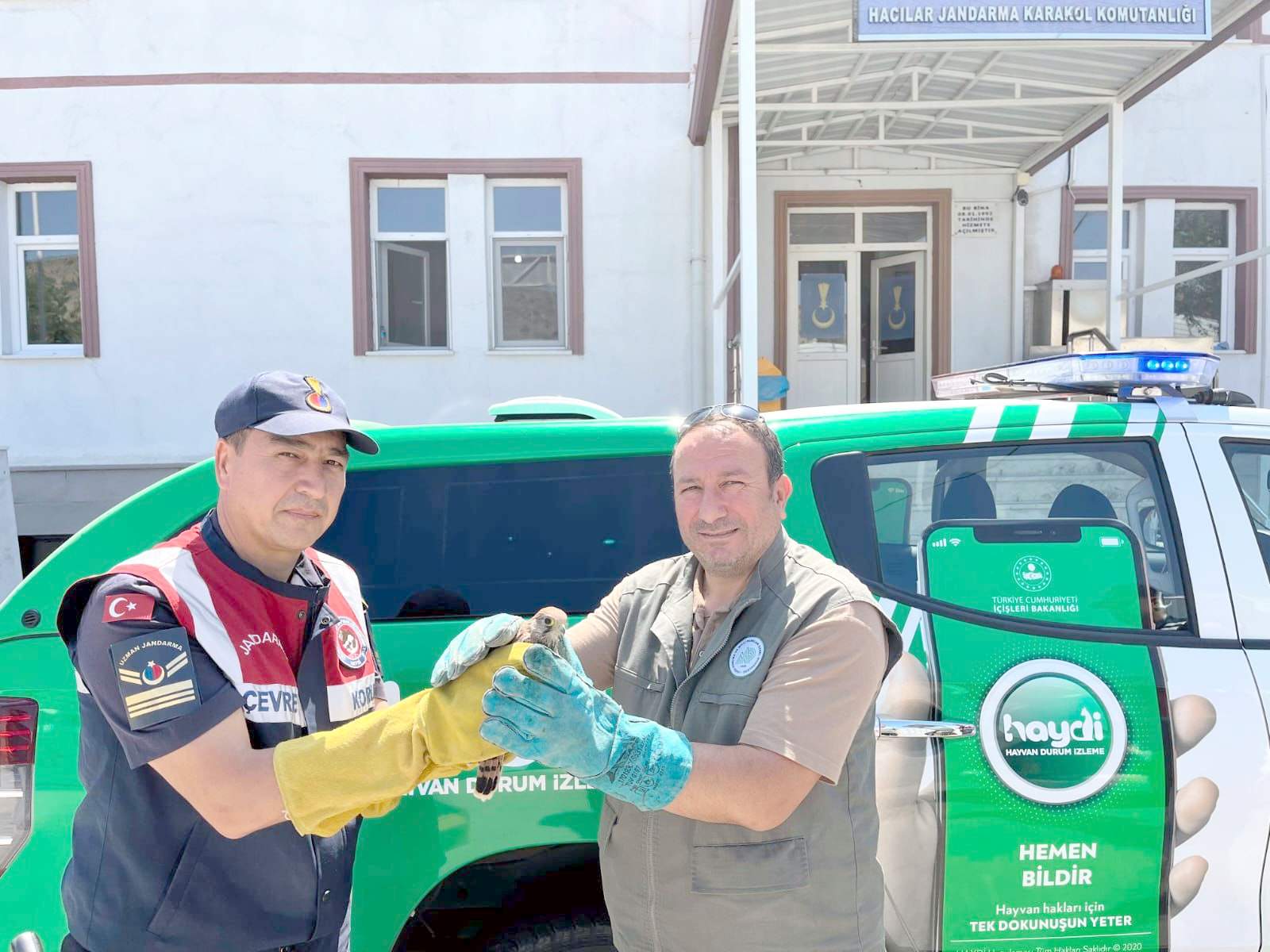 Yaralı Olarak Bulunan Şahin Ve Leylek Tedavi Edildi Haber71net Kırıkkale Haber Son Dakika 3973