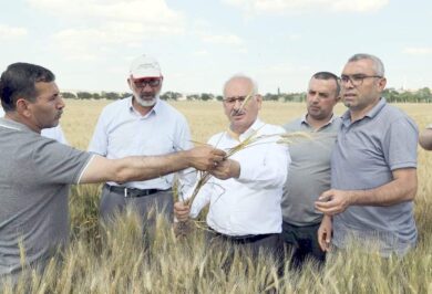 Kırıkkale Haber, Son Dakika Kırıkkale Haberleri