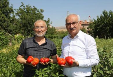 Kırıkkale Haber, Son Dakika Kırıkkale Haberleri