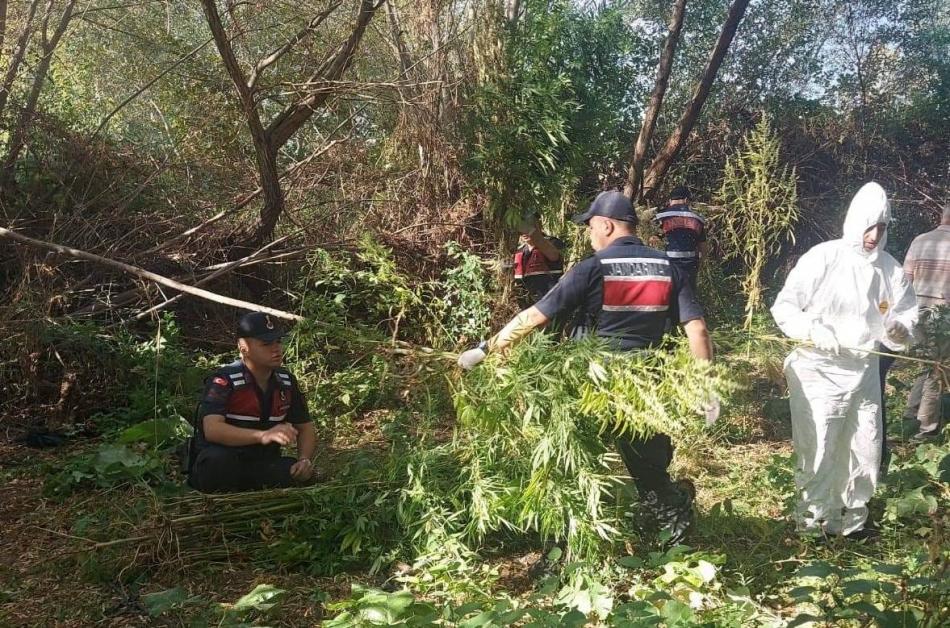 Kırıkkale Haber, Son Dakika Kırıkkale Haberleri