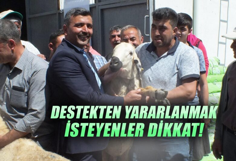 Kırıkkale Haber, Son Dakika Kırıkkale Haberleri