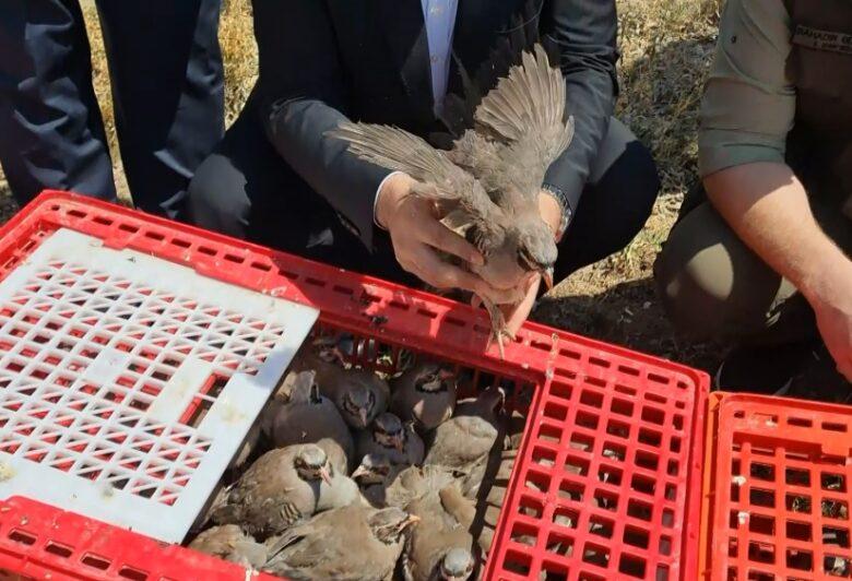 Jandarmadan Kırıkkale’de Kaçak Kazı Operasyonu - Kırıkkale Haber, Son Dakika Kırıkkale Haberleri