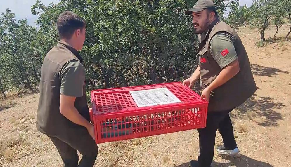 Jandarmadan Kırıkkale’de Kaçak Kazı Operasyonu - Kırıkkale Haber, Son Dakika Kırıkkale Haberleri