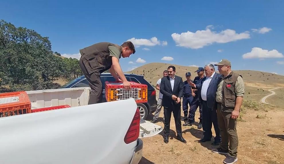 Jandarmadan Kırıkkale’de Kaçak Kazı Operasyonu - Kırıkkale Haber, Son Dakika Kırıkkale Haberleri