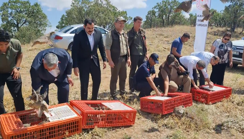 Jandarmadan Kırıkkale’de Kaçak Kazı Operasyonu - Kırıkkale Haber, Son Dakika Kırıkkale Haberleri