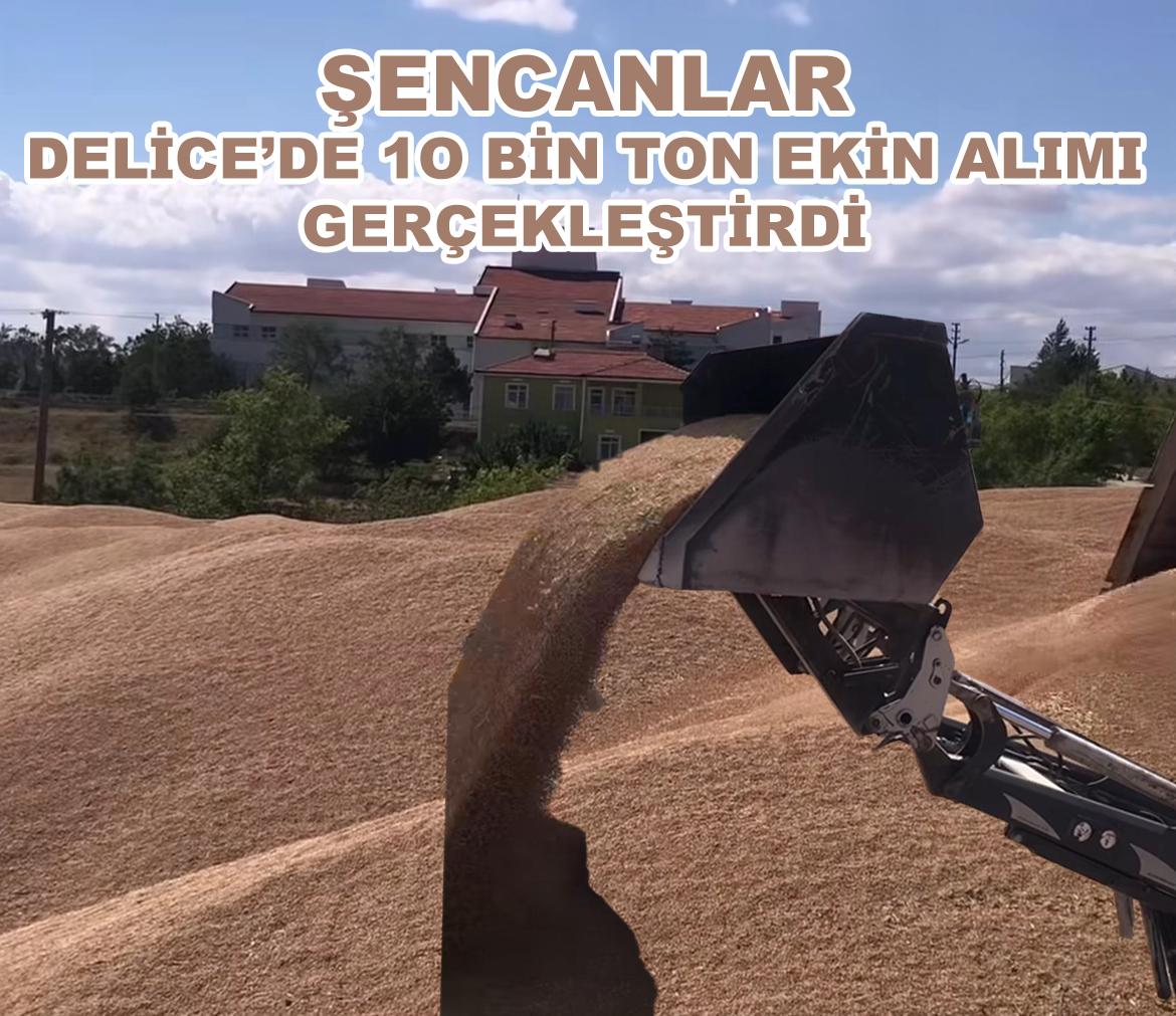 Şencanlar Delice'de 10 Bin Ton Ekin Alımı Yaptı - Kırıkkale Haber, Son Dakika Kırıkkale Haberleri