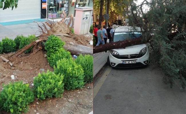 Kırıkkale Haber, Son Dakika Kırıkkale Haberleri