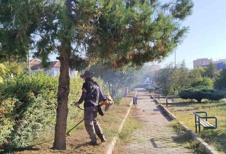 Yeşil alanların bakımları yapılıyor - Kırıkkale Haber, Son Dakika Kırıkkale Haberleri