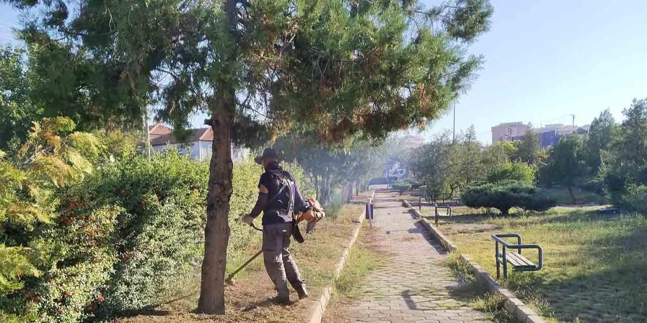 Yeşil alanların bakımları yapılıyor - Kırıkkale Haber, Son Dakika Kırıkkale Haberleri