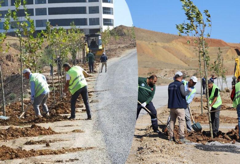 Yahşihan’da yol kenarları ağaçlandırılıyor - Kırıkkale Haber, Son Dakika Kırıkkale Haberleri