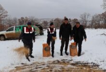 Jandarma Yaban Hayvanları İçin Doğaya Yem Bıraktı - Kırıkkale Haber, Son Dakika Kırıkkale Haberleri