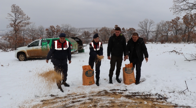 Jandarma Yaban Hayvanları İçin Doğaya Yem Bıraktı - Kırıkkale Haber, Son Dakika Kırıkkale Haberleri